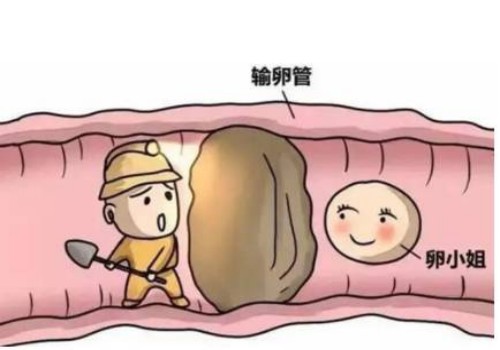 上海代怀：﻿小孩缺钙怎么食补,缺钙宝宝吃什么食物好