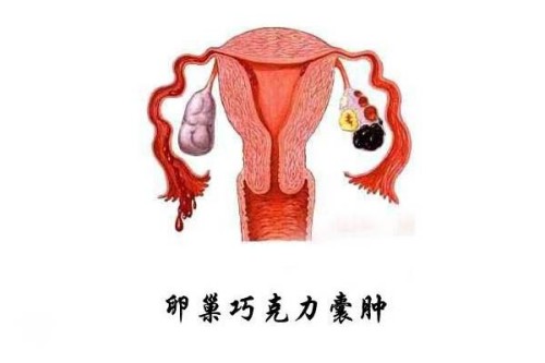 上海供卵：﻿促排卵期间不能盲目按摩,找对方法很关键