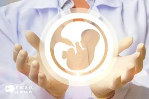 上海供精代怀：﻿2023随州中心医院试管婴儿全方位指南，附助孕成功率预估