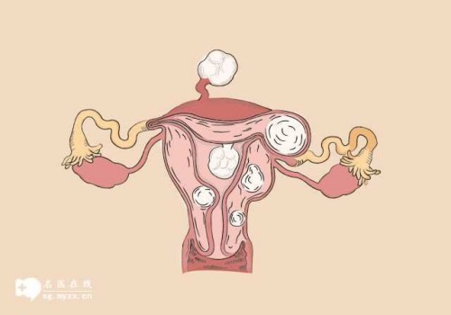 上海试管供卵代怀：﻿排卵有障碍还能生孩子吗,引起的原因看这里